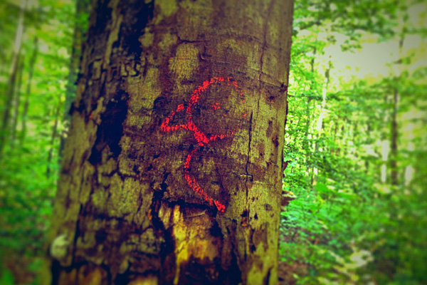 Zeichen am Wegesrand