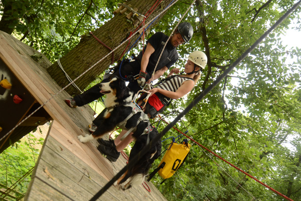 hunde abseilen im kletterwald wetzlar