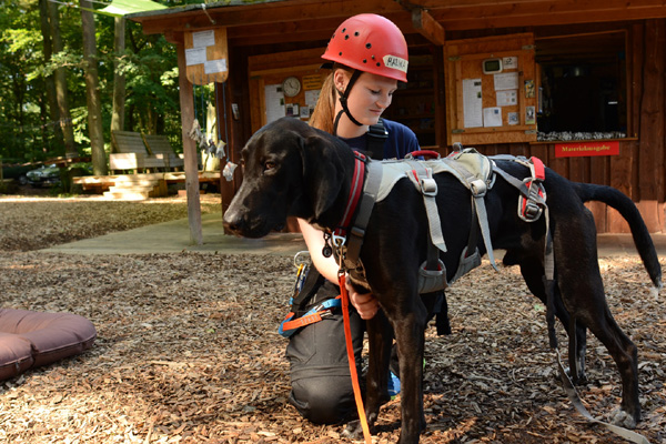 erlebnis klettern hessen wetzlar kletterpark