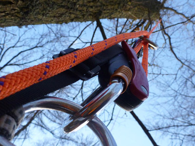 gut gesichert im Baum