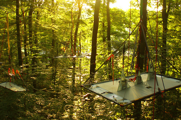 Potaledge im Kletterwald